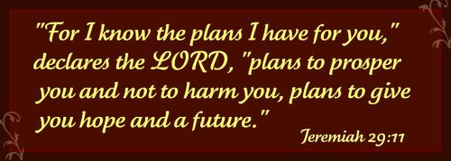 God's plan for you